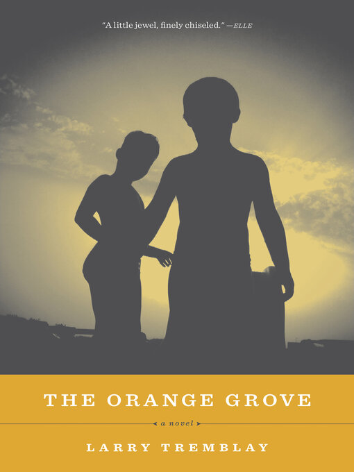 Title details for The Orange Grove by Larry Tremblay - Available